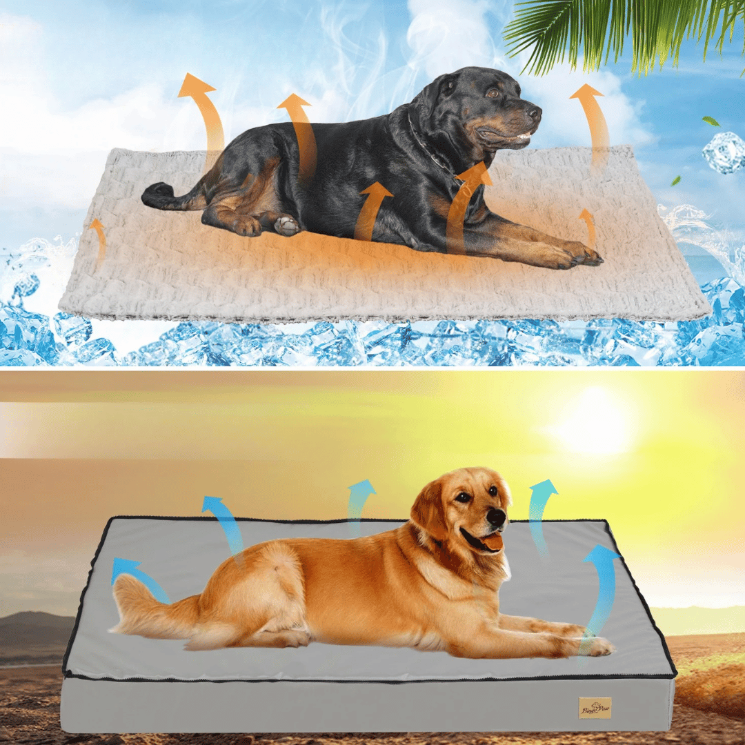 Cama Confortável Para Cão – Ideal Para o Descanso e a Recuperação
