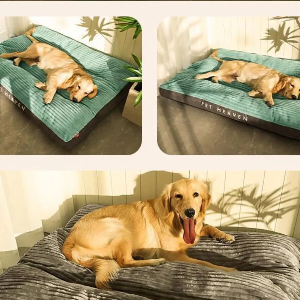 Hundebett Komfort – Optimale Unterstützung und friedliche Ruhe
