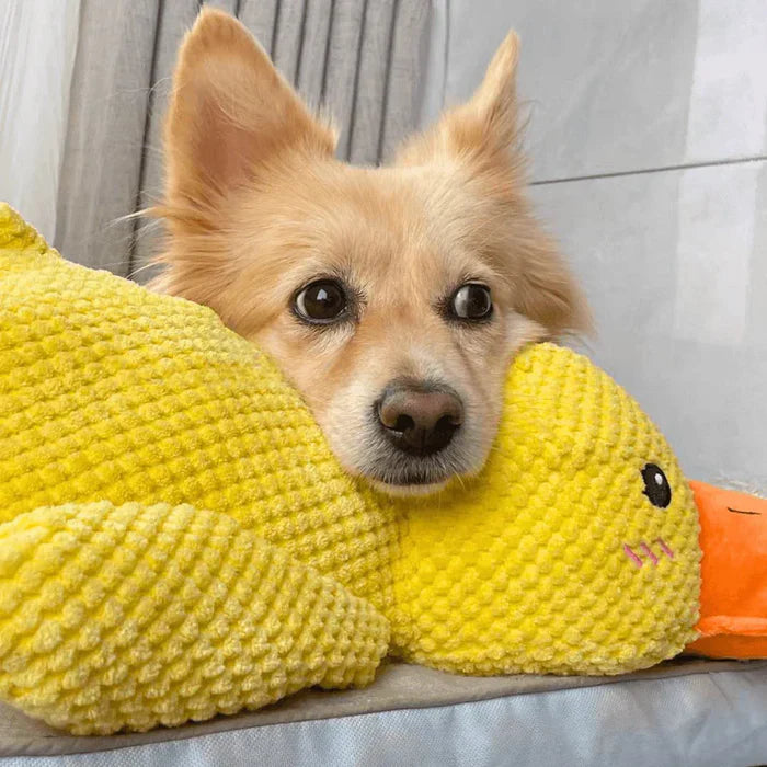 Beroligende Andelek for Hund – Lekekamerat og Avslapningspartner