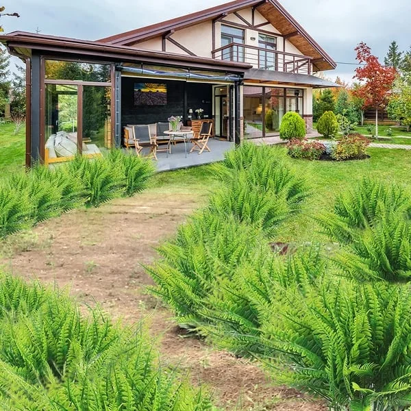 Műanyag Díszfakó – Valósághű és Hosszú Élettartamú