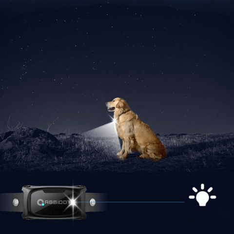 Halsband voor Honden - LED Afstandsbediening en Bereik 1000 m