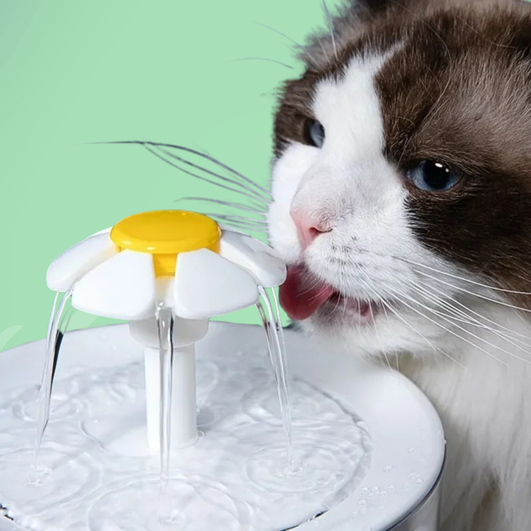 Drinkfontein voor Katten — Continue Hydratatie en Altijd Vers Water 