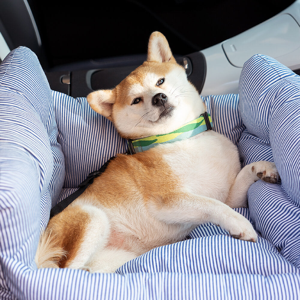 Siège Auto Pour Chien – Confort Et Sécurité En Voyage