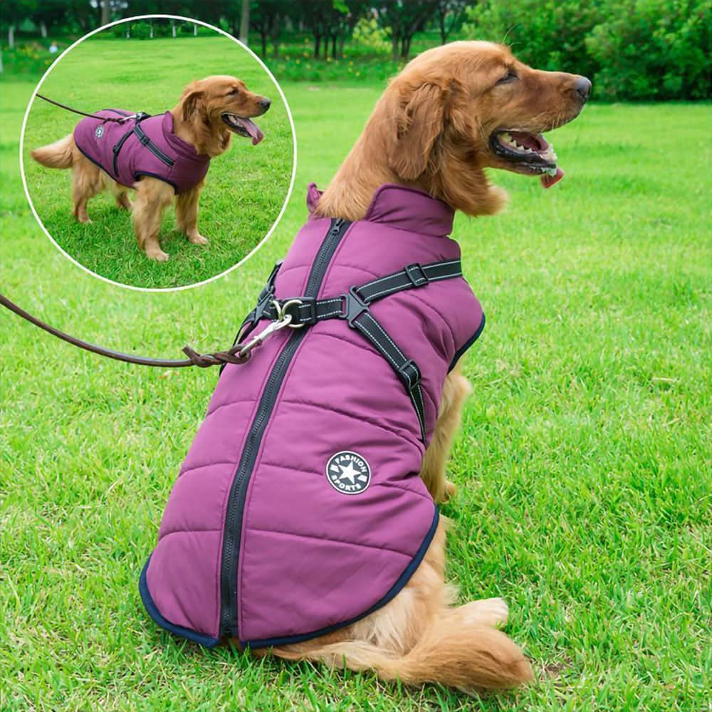 Wasserdichter Parka für Hunde - Schutz & Stil 