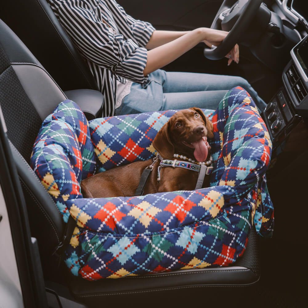 Siège Auto Pour Chien – Confort Et Sécurité En Voyage