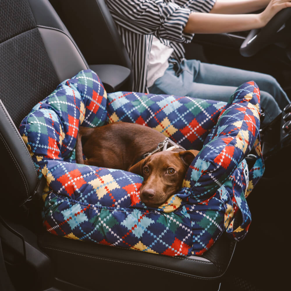 Siège Auto Pour Chien – Confort Et Sécurité En Voyage