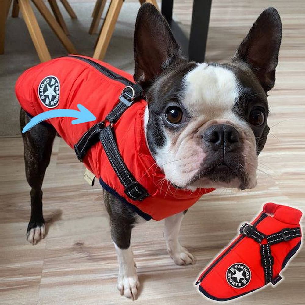 Wasserdichter Parka für Hunde - Schutz & Stil 