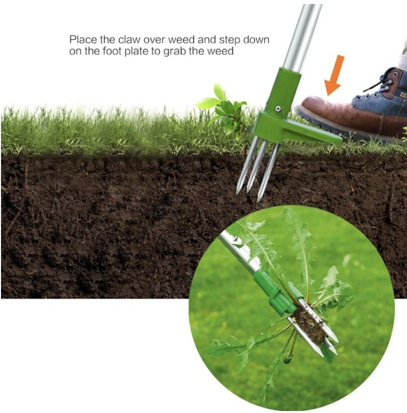 Extracteur De Mauvaises Herbes – Élimination Facile En Position Debout