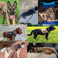 Justerbar Hundsele – Robusthet och Kontroll 