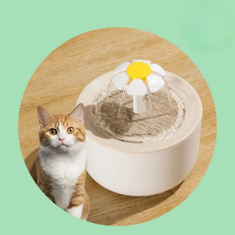 Drinkfontein voor Katten — Continue Hydratatie en Altijd Vers Water 
