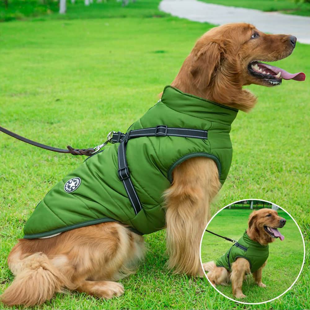 Wasserdichter Parka für Hunde - Schutz & Stil 