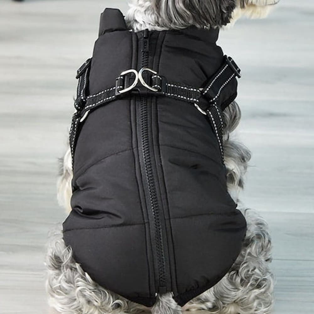 Wasserdichter Parka für Hunde - Schutz & Stil 