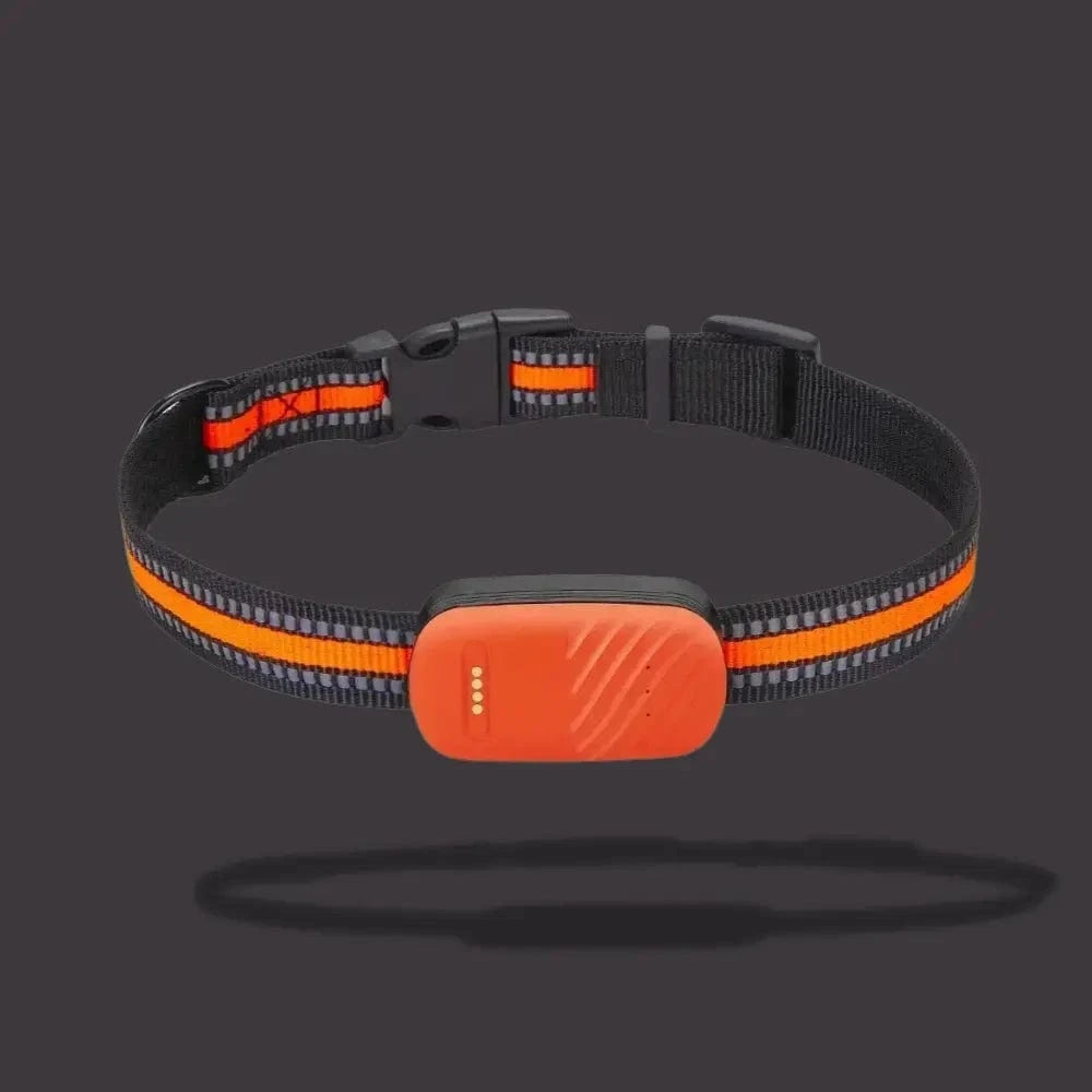 Collar Localizador GPS Para Gato – Localización Y Confort Diario 