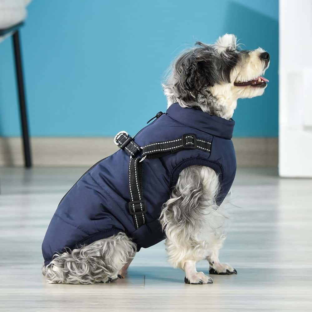 Wasserdichter Parka für Hunde - Schutz & Stil 