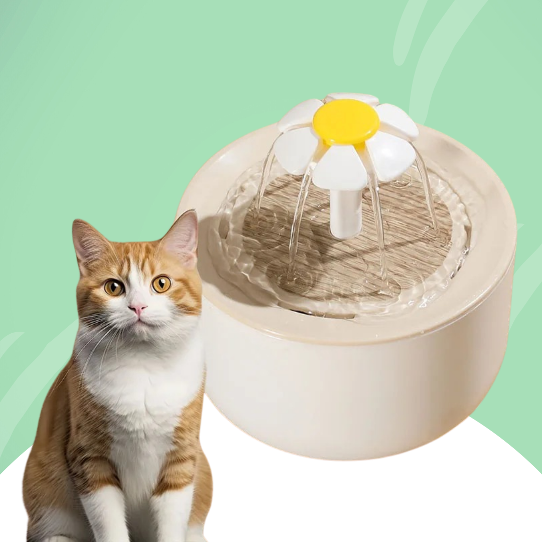 Drinkfontein voor Katten — Continue Hydratatie en Altijd Vers Water 
