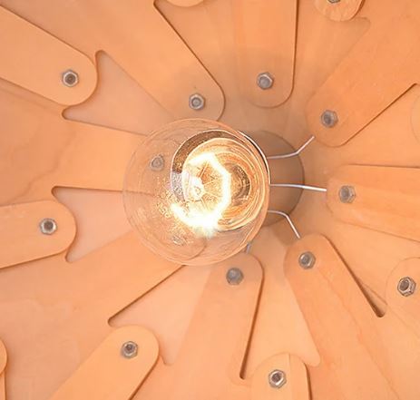 Sculptural Hanging Light – Design Inspired By Nature 