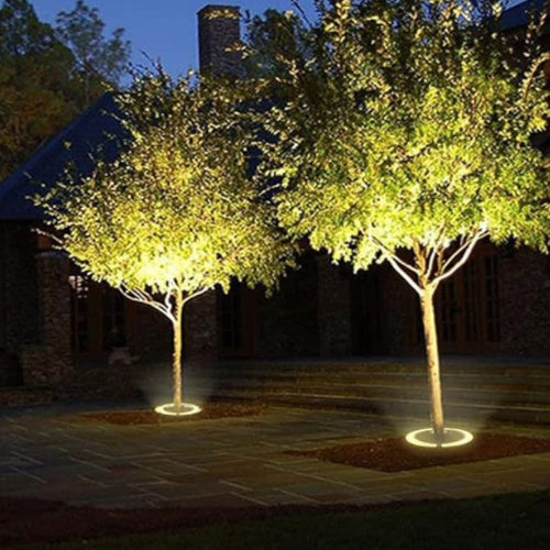 Proyector LED Exterior – Ilumina Tu Jardín Con Potencia 
