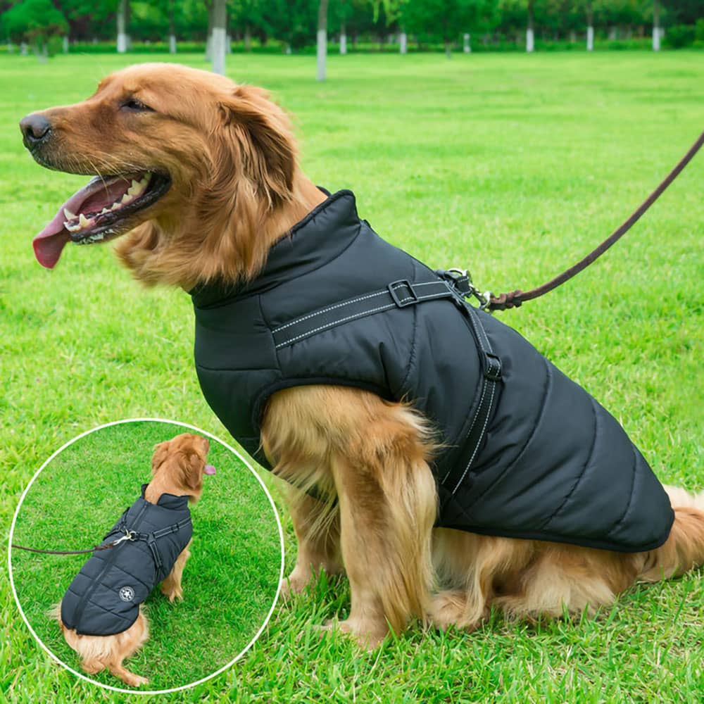 Wasserdichter Parka für Hunde - Schutz & Stil 